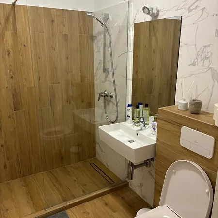 Apartment Aviatiei Boutique Bucharest